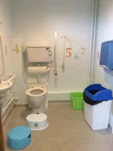 decorated toilet